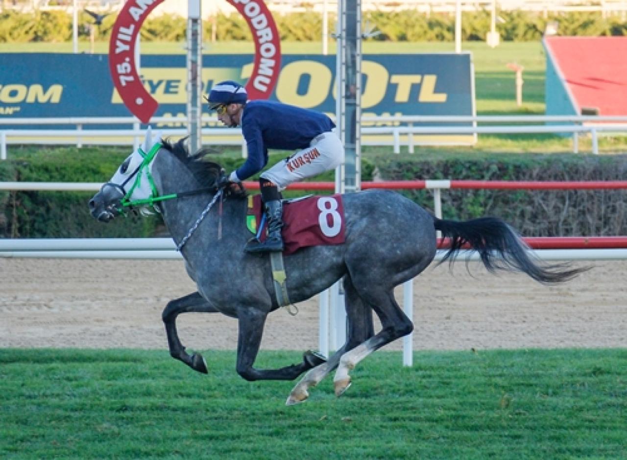 Necip Fazıl Kısakürek Koşusu’nda kazanan Hopdedik oldu