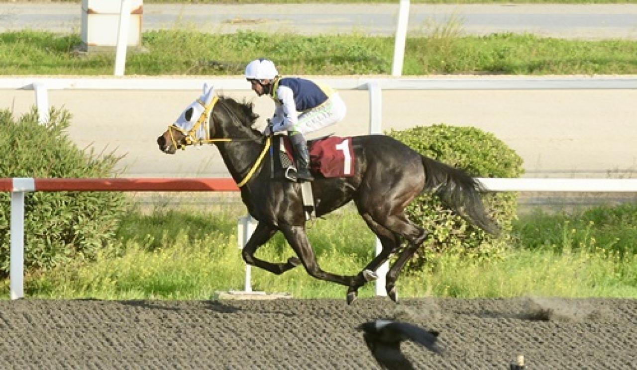 Bülent Koçak Koşusu'nu Star Runner kazandı