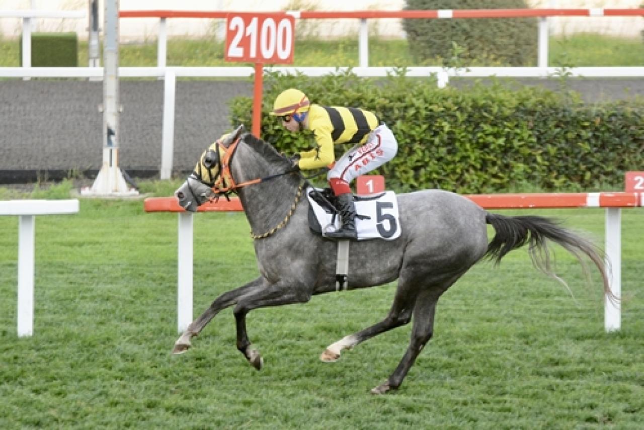 Hazım Rıza Gözlükçü Koşusu'nda birinciliğe Deniz Kestanesi ulaştı