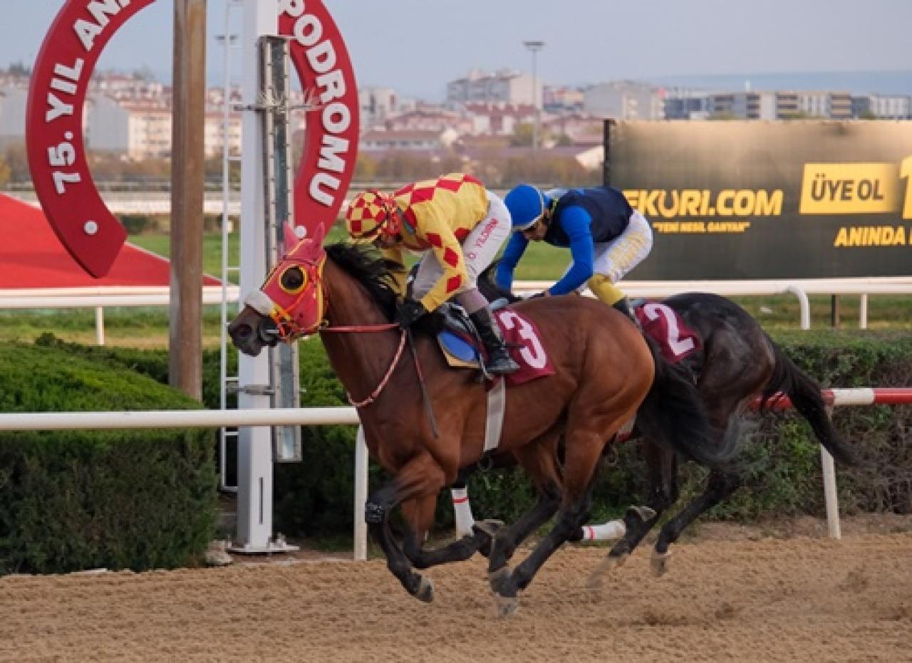 Ankara Kulübü Koşusu'nu Febris kazandı