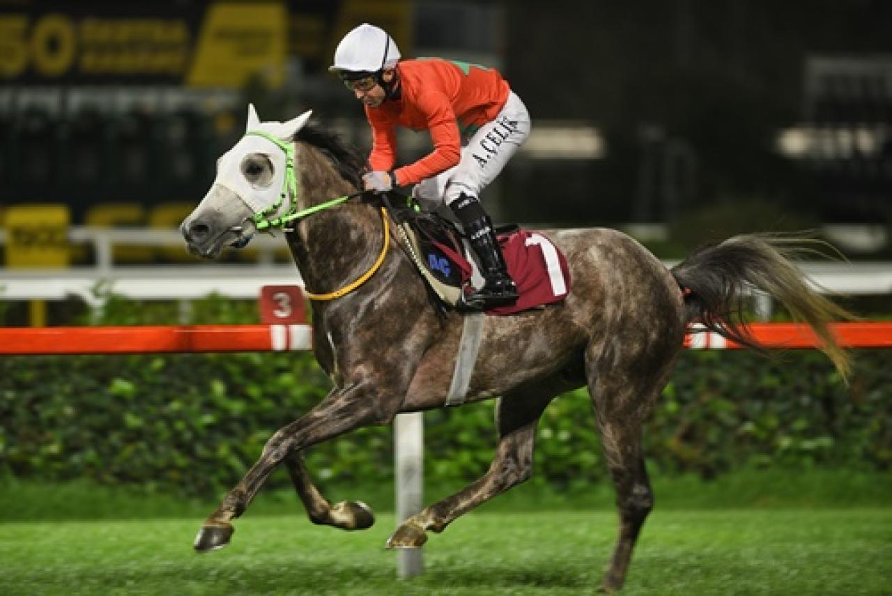 Hayata Bağış Derneği Koşusu'nda kazanan Saçanşah oldu