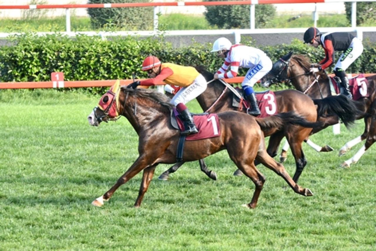 LÖSEV Koşusu’nda kazanan Hüküm oldu