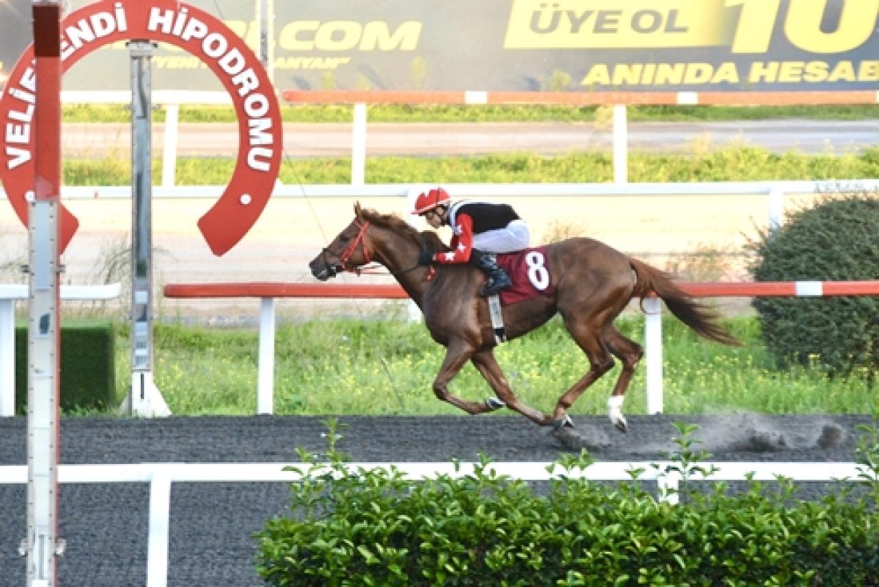 Yürüyen Köşk Koşusu'nun galibi Modern Warrior oldu