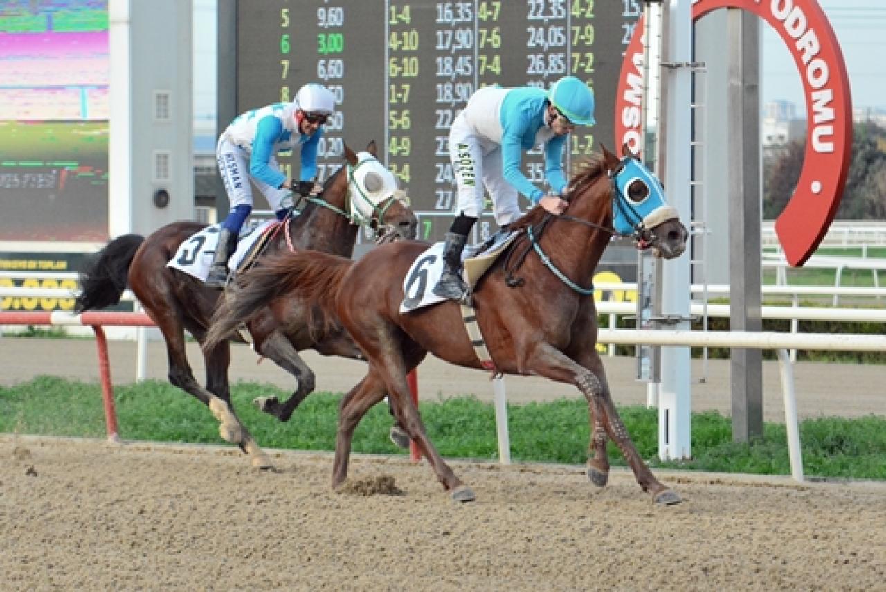 Uludağ Koşusu’nu Kozmos kazandı