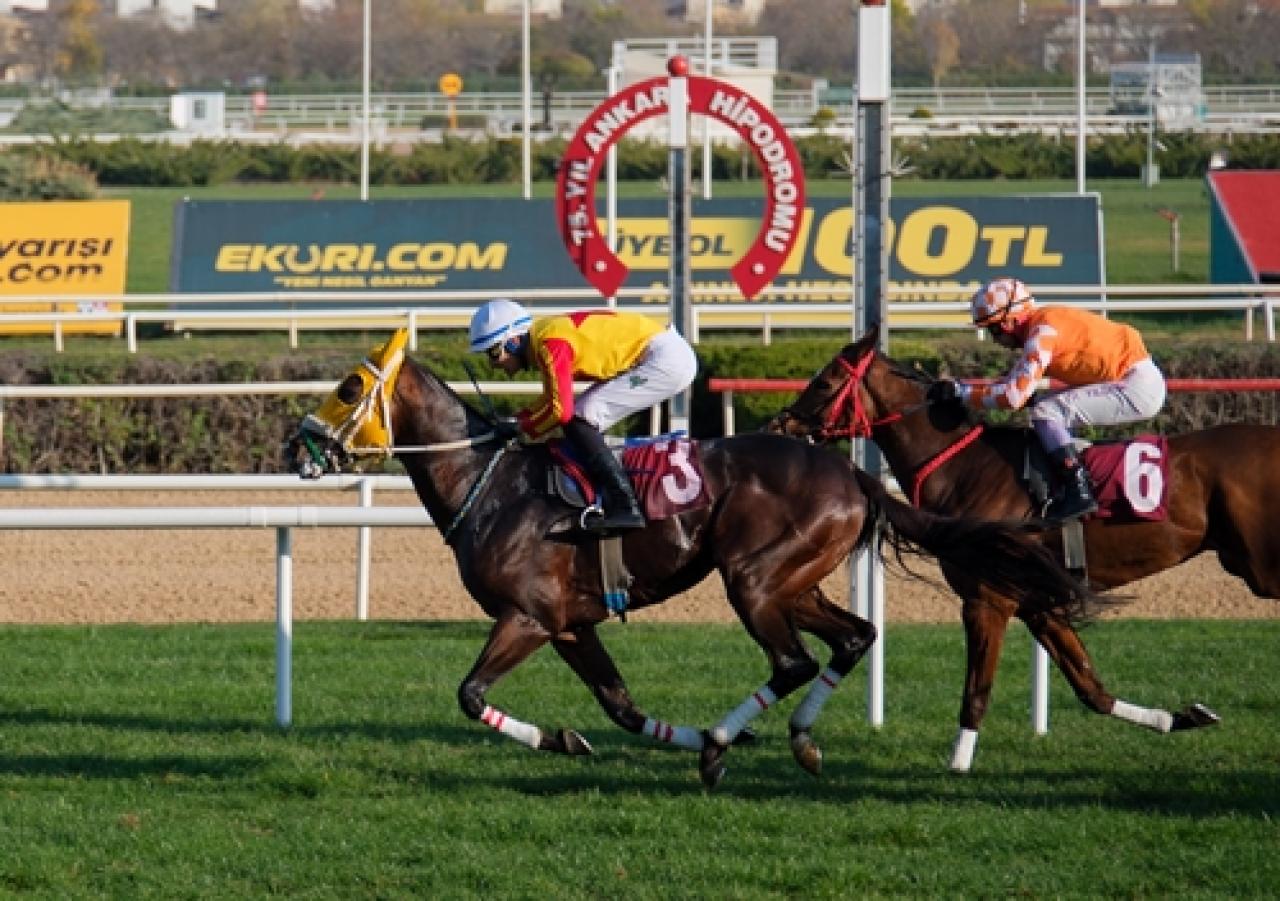Türk Veteriner Hekimleri Birliği Koşusu'nda kazanan Hearted oldu