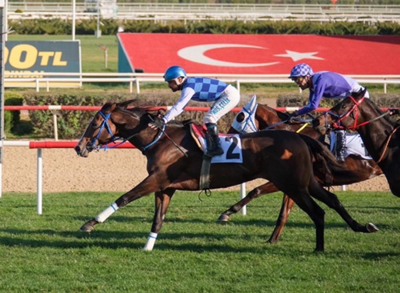 Hitit Koşusu'nu Diluvio kazandı