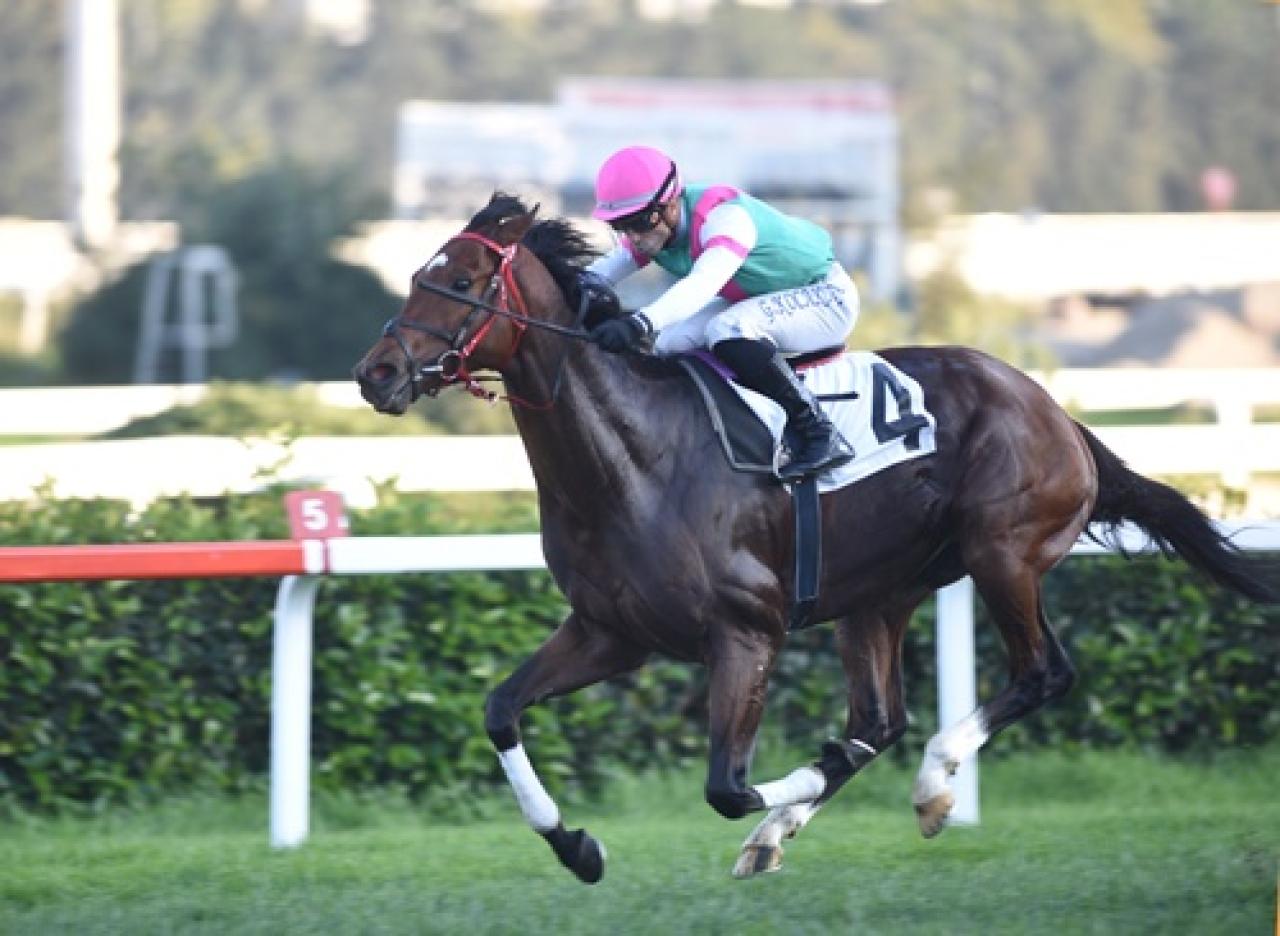 Sakarya Koşusu’nda zafere ulaşan Build Your Dreams oldu