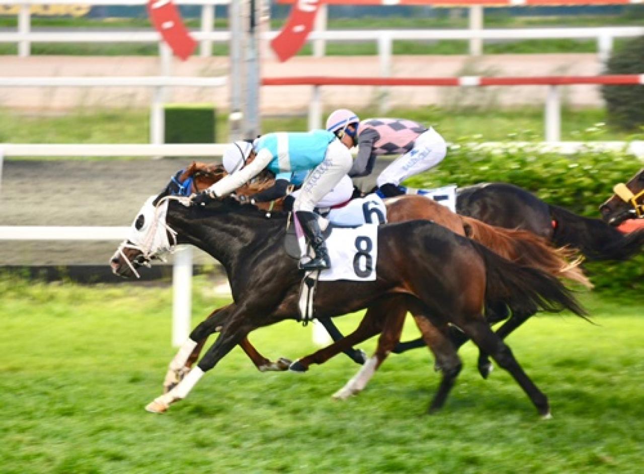 Atıf Esenbel Koşusu'nu Tulumar kazandı