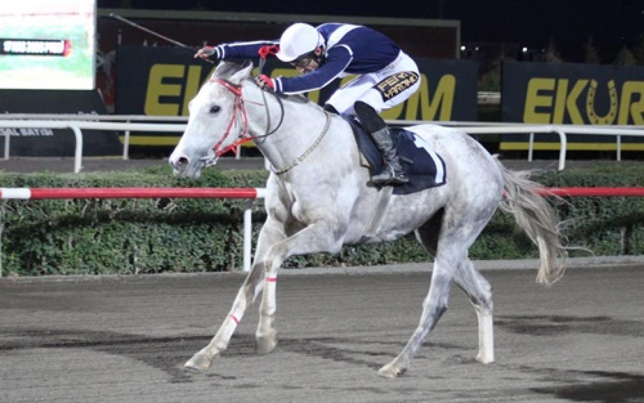 Şanlıurfa'da Sonbahar - Kış Sezonu başladı