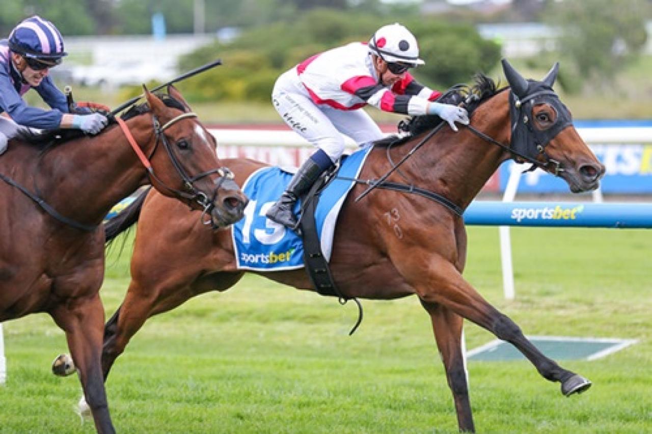 Time Test temsilcisi Proved’dan G3 koşu galibiyeti