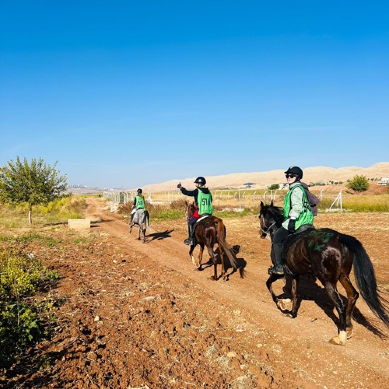 Göbeklitepe’de Ulusal Atlı Dayanıklılık Yarışması düzenlendi