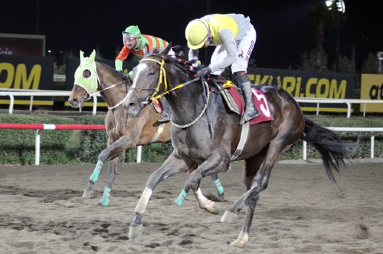 Müslüm Tumbul Koşusu’nda kazanan War Comander oldu