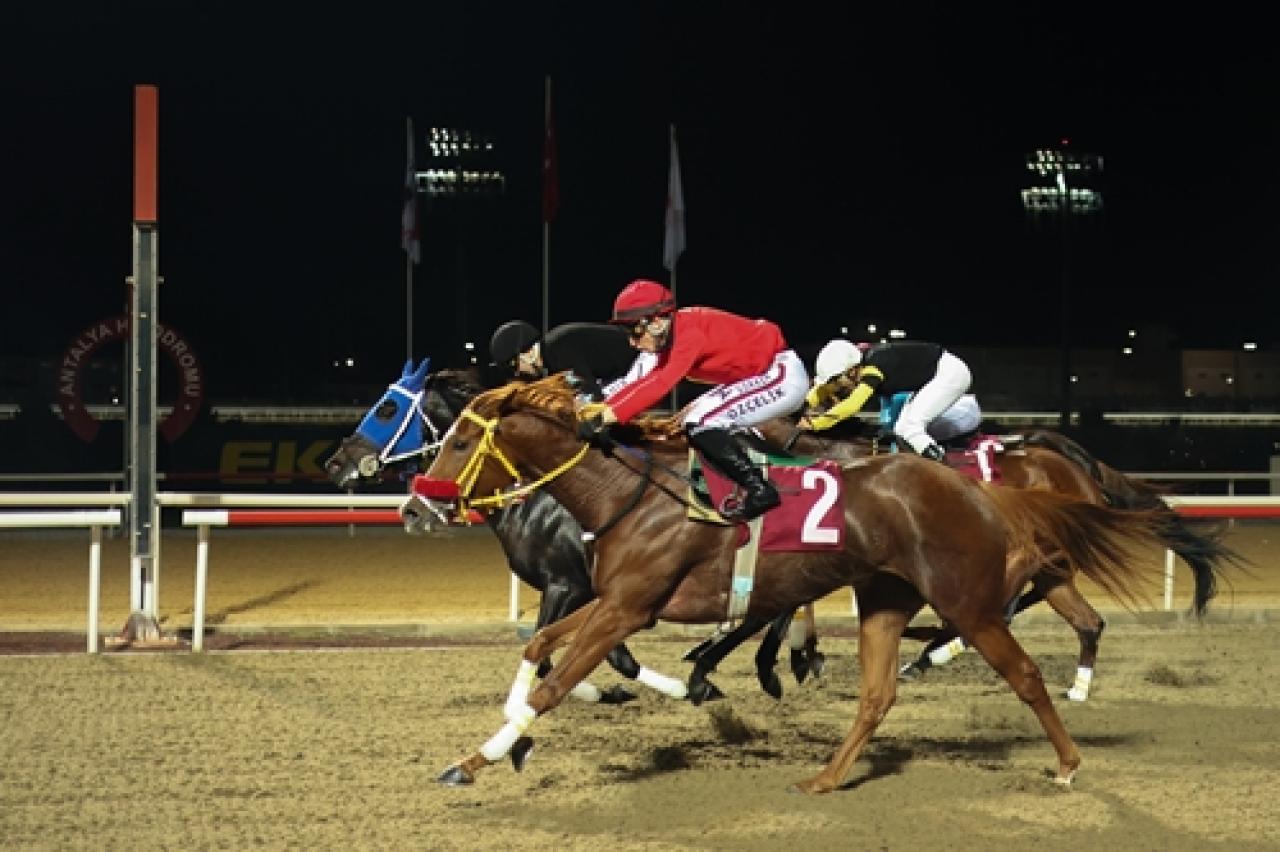 Sahil Güvenlik Komutanlığı (Antalya) Koşusu’nda El Rio ve Fit As A Fiddle birinciliği paylaştı