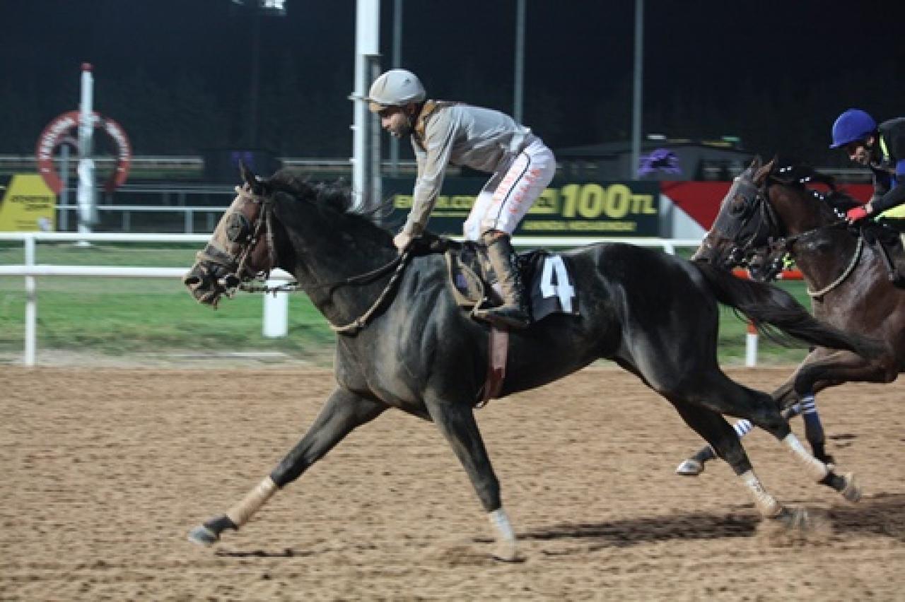 Çukurova Üniversitesi Rektörlüğü Koşusu'nu Black Pablo kazandı