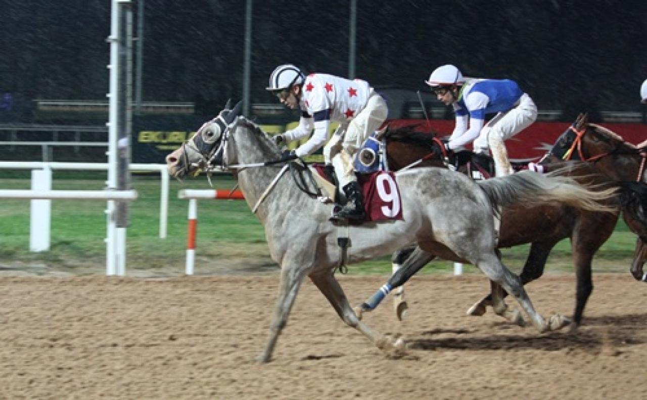 Pozantı Belediye Başkanlığı Koşusu'nu Kocaefe kazandı