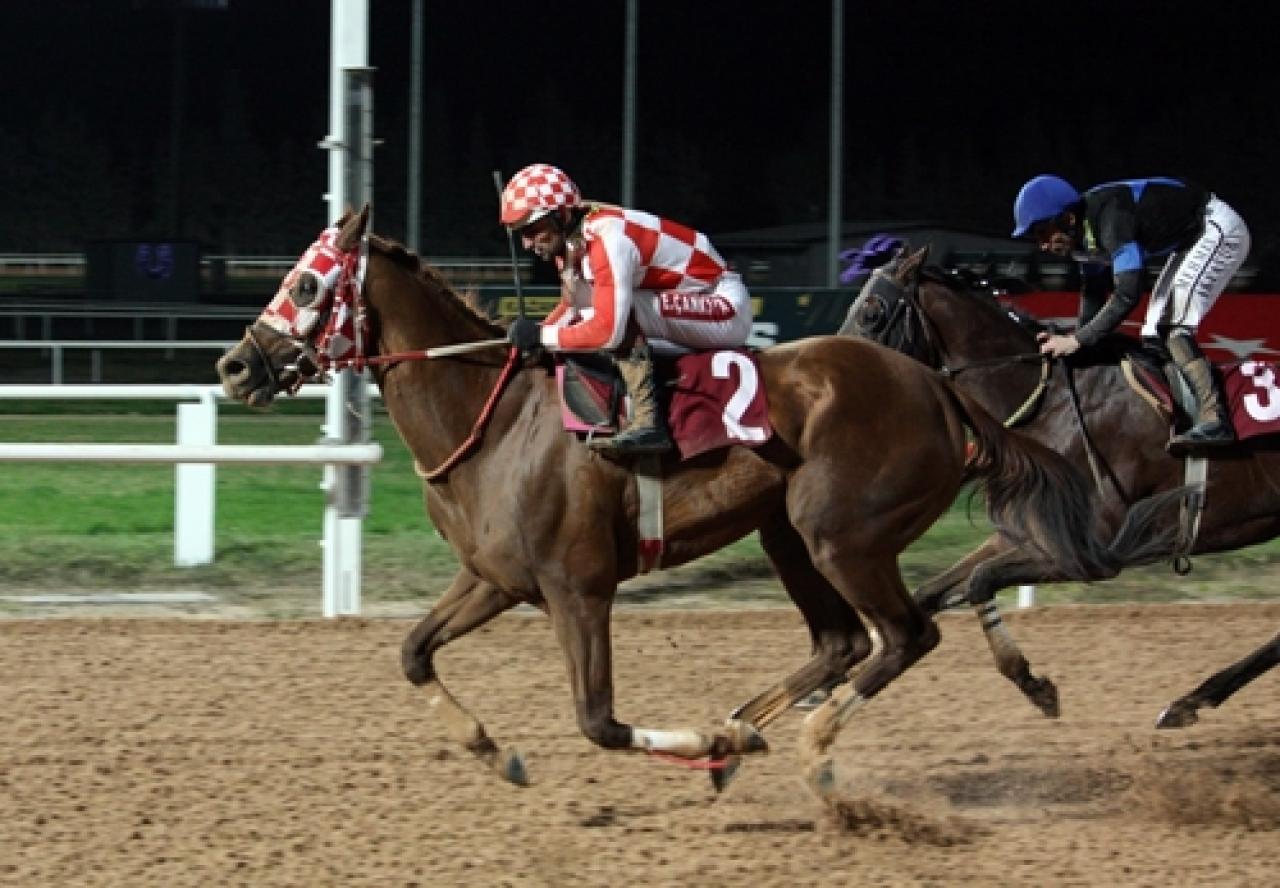 Hasan Aksoy Koşusu’nda kazanan Selanik Aslanı oldu