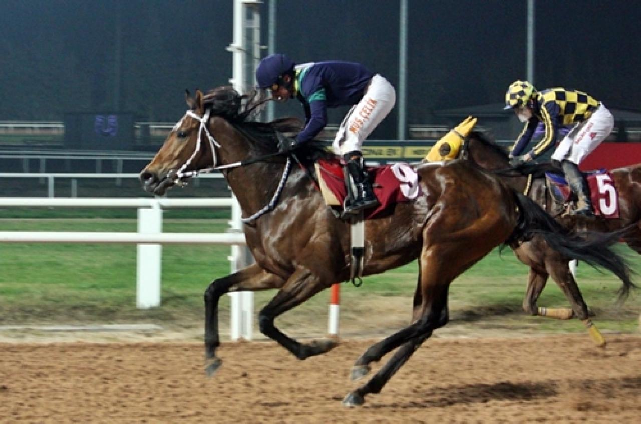 İbrahim Özekici Koşusu’nda galibiyete ulaşan Wolka Maria oldu