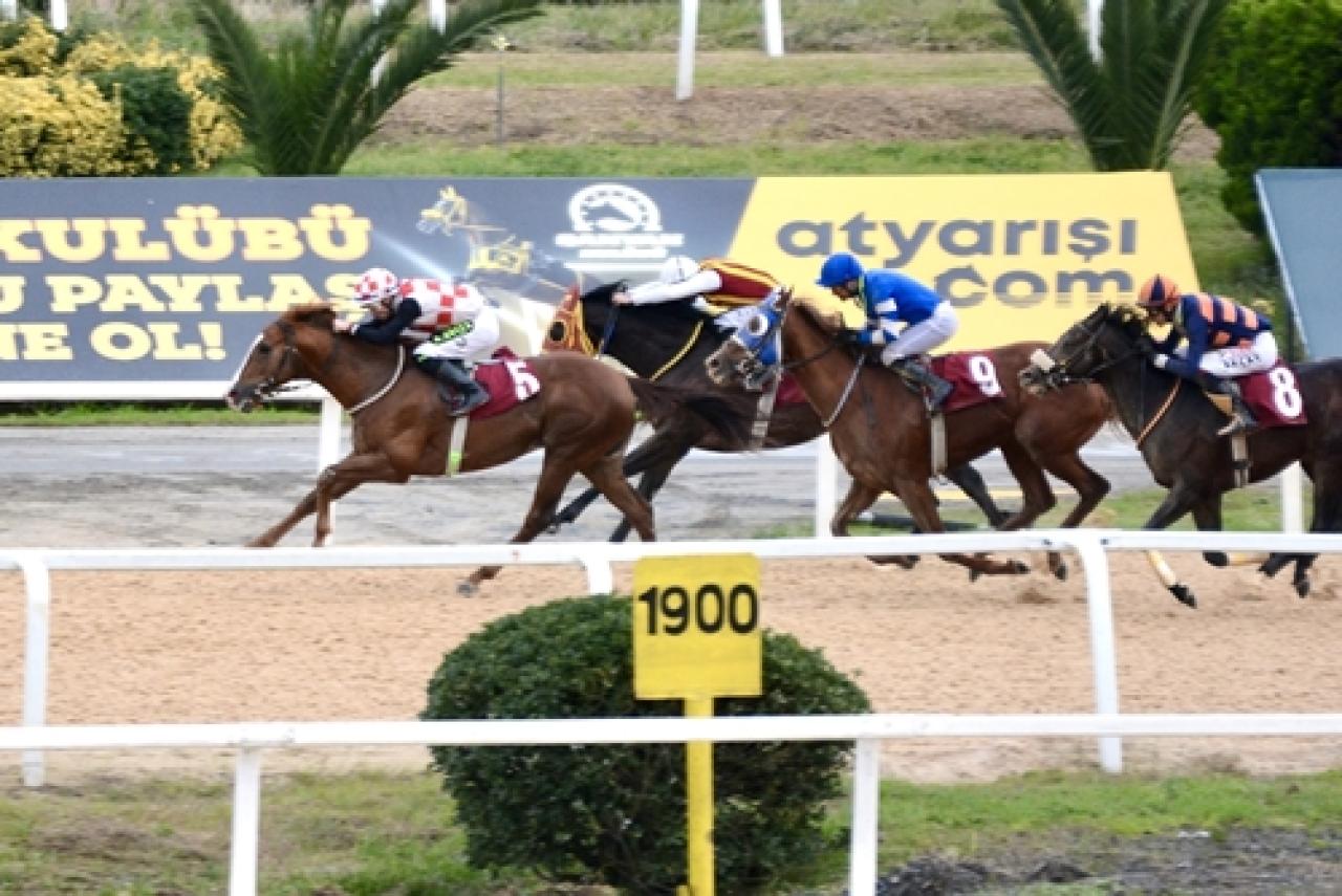 Şevket Belgin Koşusu'nda kazanan Winner Gets It All oldu