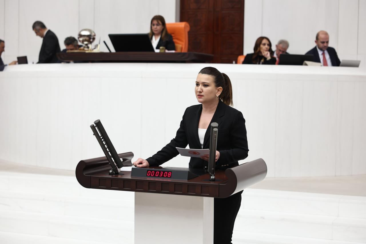 Gökçe Gökçen: “Kadına Yönelik Dijital Şiddette Cezasızlık Politikası Devam Mı Edecek?”