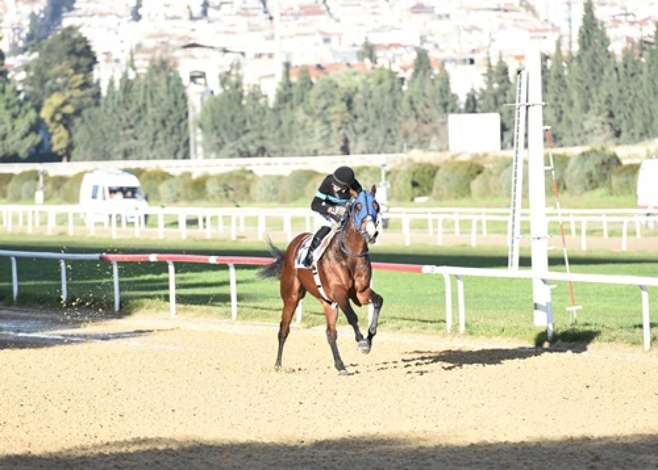 Güzel İzmir Koşusu'nu The Protecter kazandı