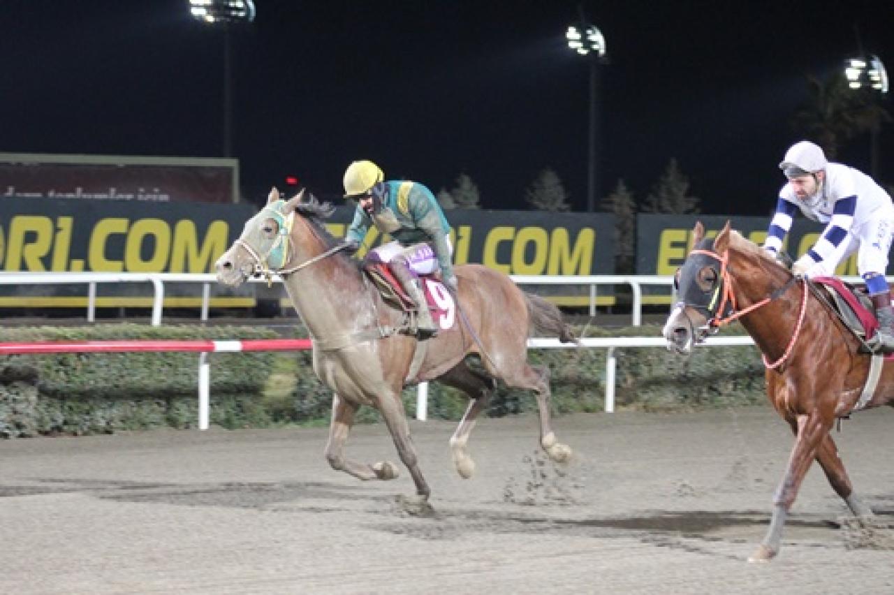 Göbeklitepe Koşusu'nda galibiyet Akdağ Fırtınası'nın oldu