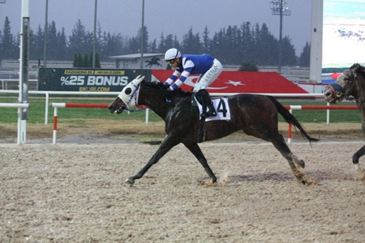 Toroslar Koşusu'nda birinciliğe Silent Treatment uzandı