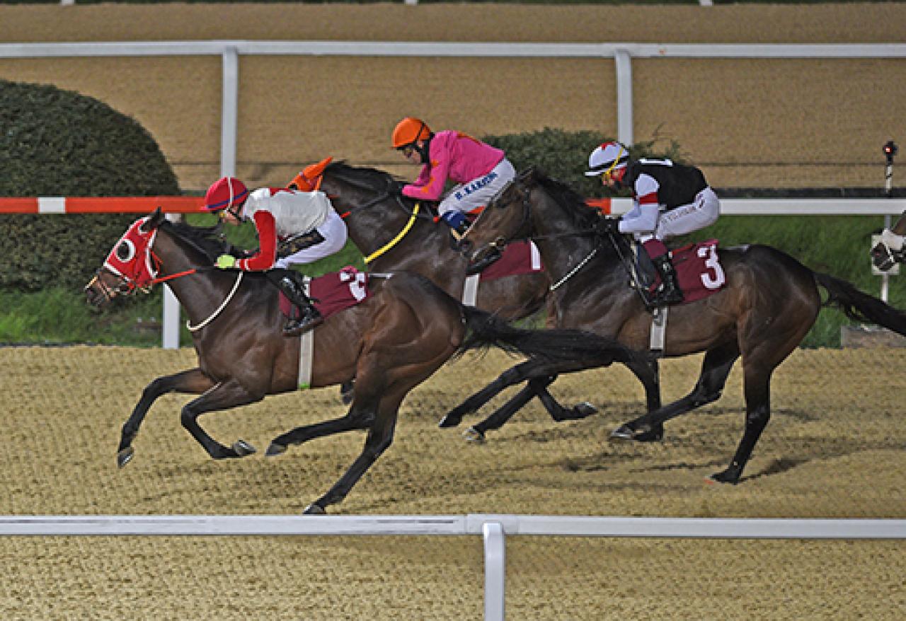 Gültekin Alpay Koşusu’nda galibiyete Dagmar ulaştı