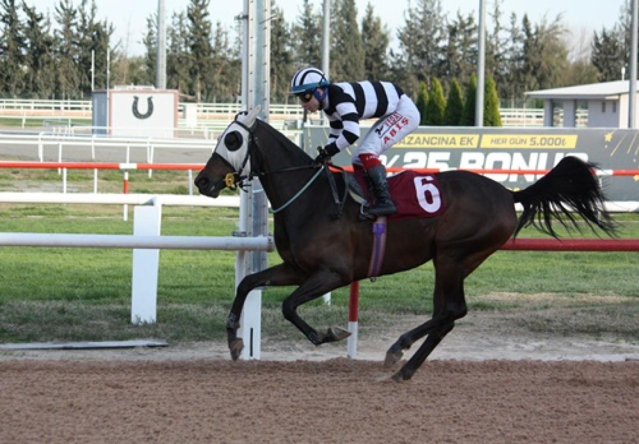 Adana Veteriner Hekimler Odası Koşusu’nda kazanan Frozen Love oldu