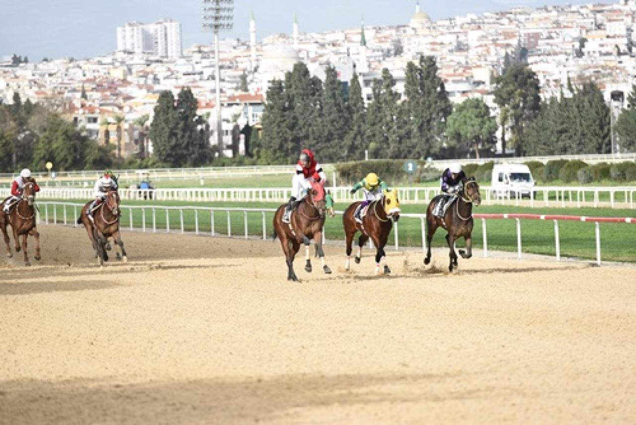 William Giraud Koşusu'nun galibi Hardox oldu