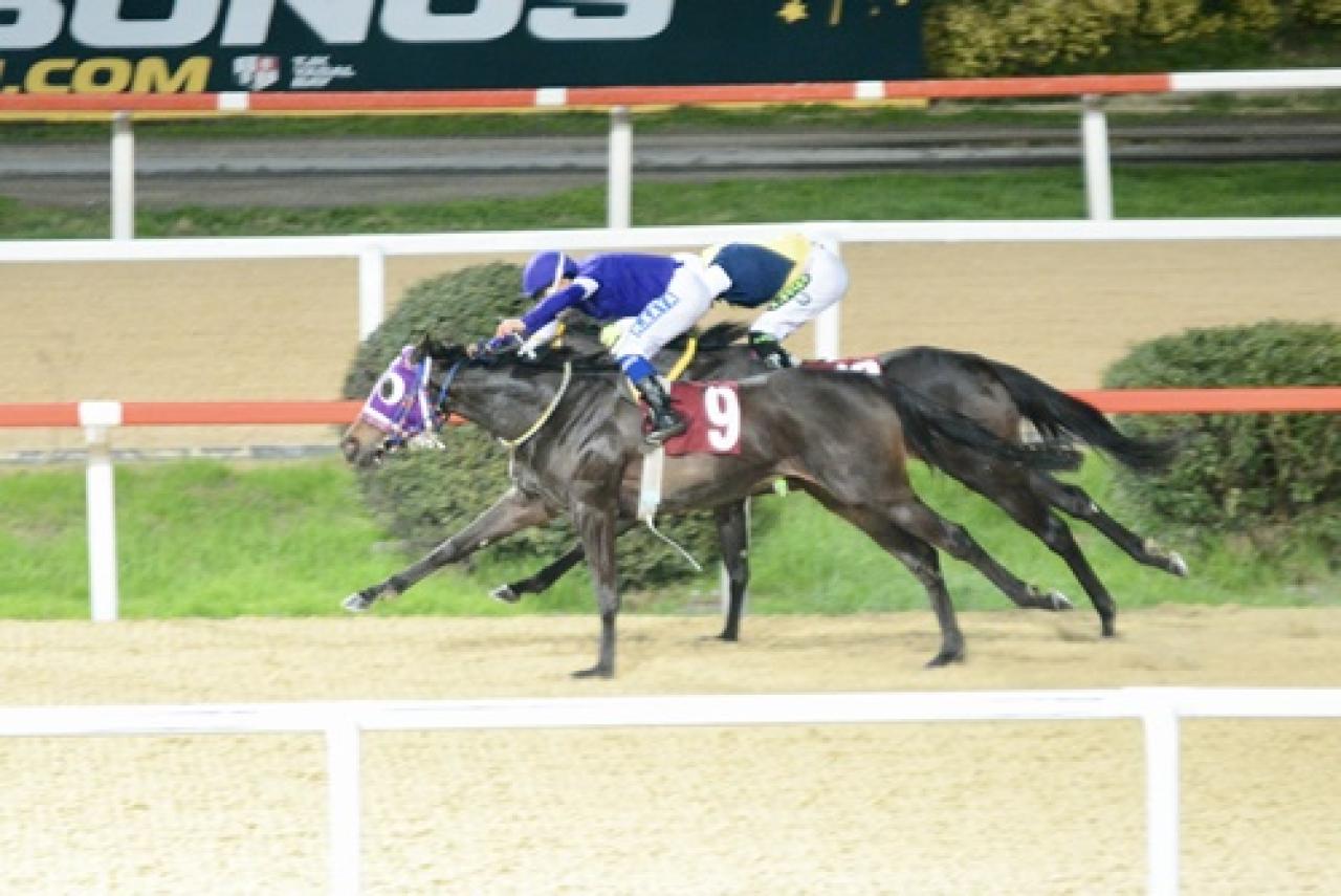 Nimet Üyken Koşusu'nu Lyara kazandı