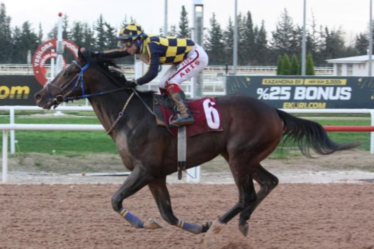 M. Fehmi Dinkçioğlu Koşusu’nu Percy Jackson kazandı