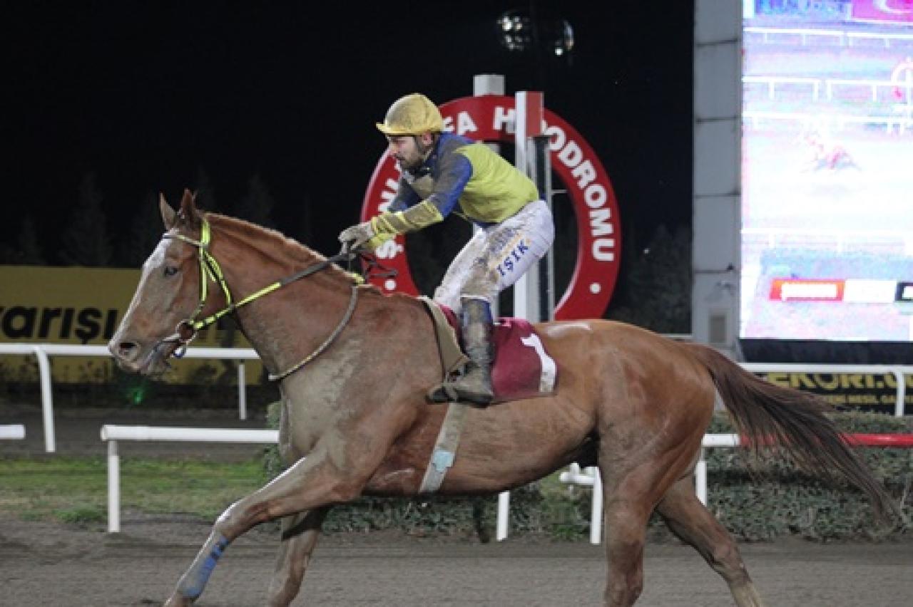 Akçakale Belediyesi Koşusu'nu Bogota kazandı