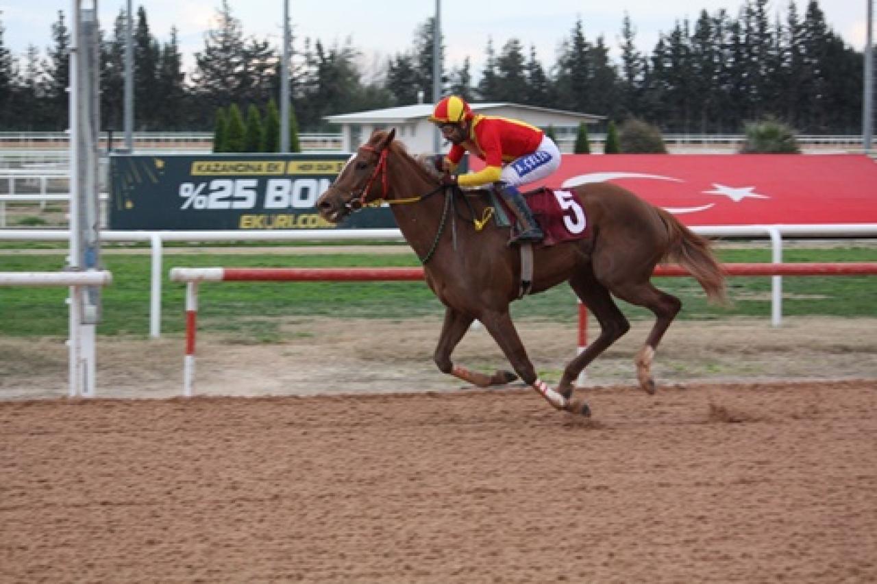 Osmaniye Belediye Başkanlığı Koşusu'nda kazanan Syntagma oldu