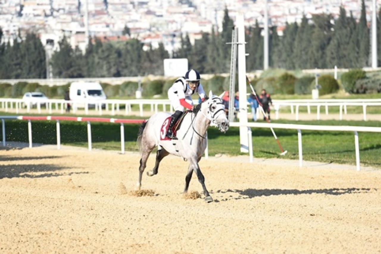 M. Turhan Oğan Koşusu'nda kazanan Katı Zamanı oldu
