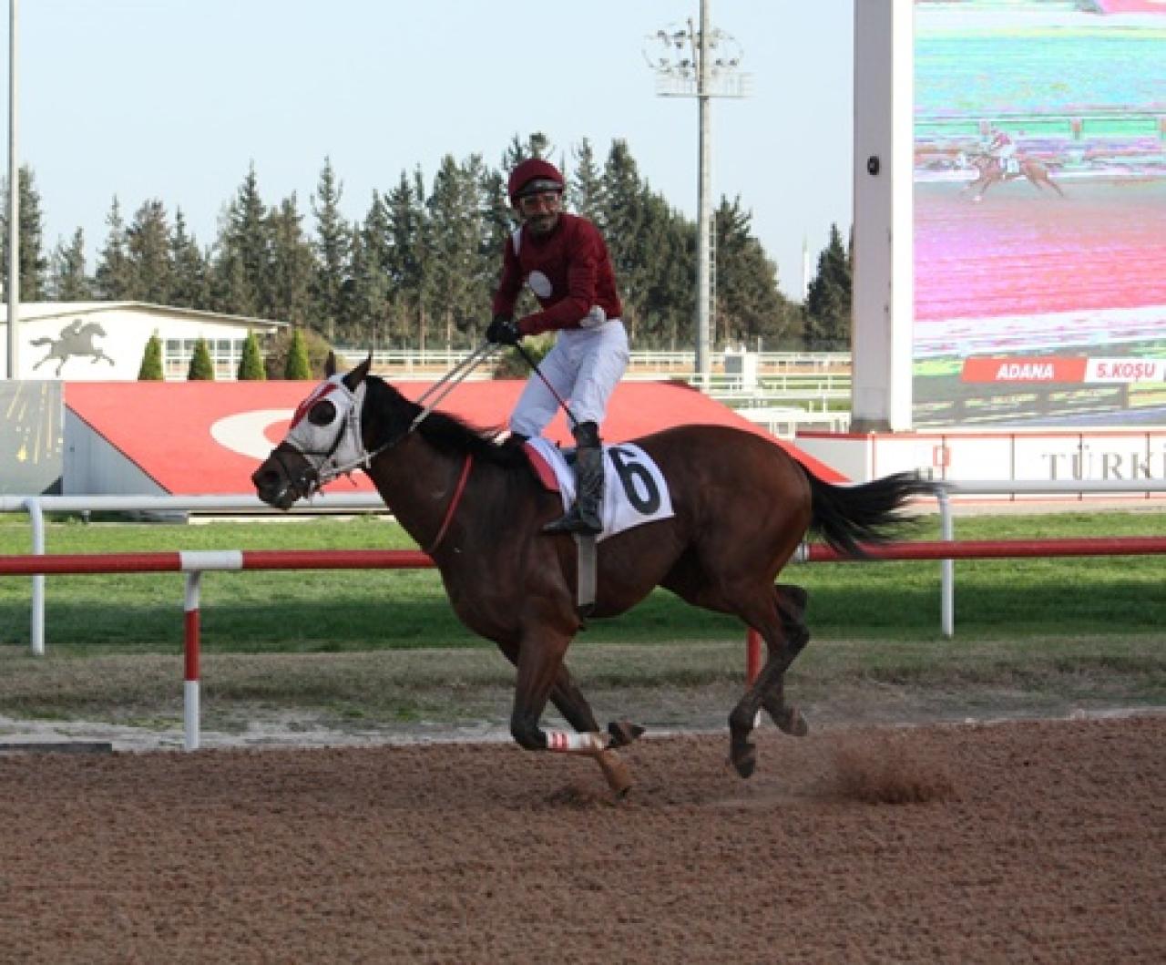 Adana Büyükşehir Belediye Başkanlığı Koşusu'nu Superbella kazandı