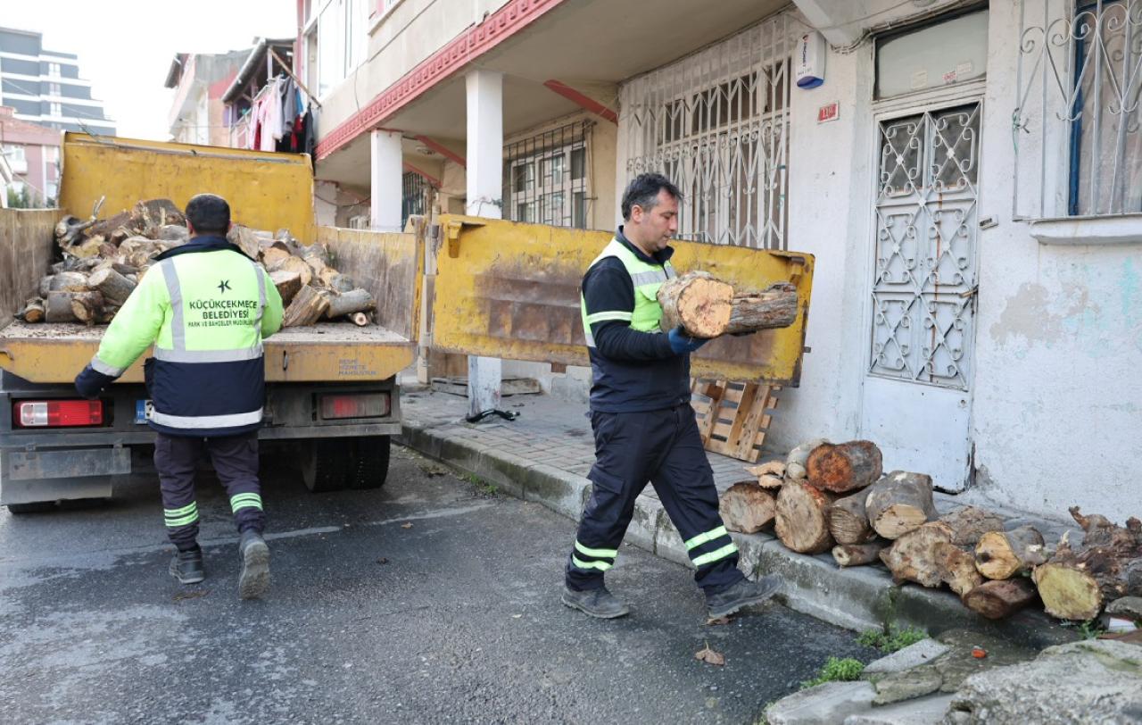 BUDANAN AĞAÇLAR, İHTİYAÇ SAHİPLERİNE YAKACAK OLUYOR