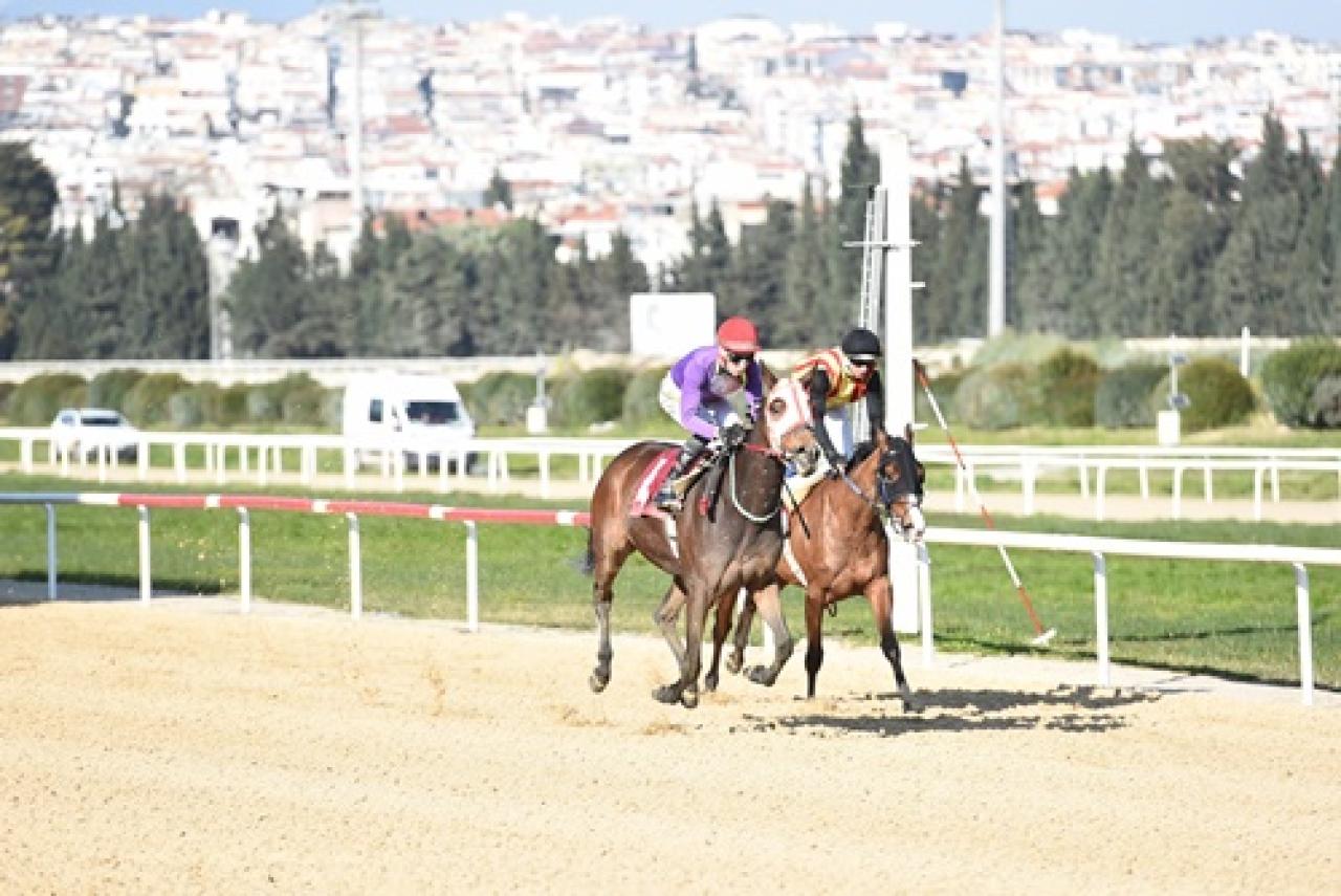 Aktan Bayrak Koşusu'nu Pehlivan Yıldızı kazandı
