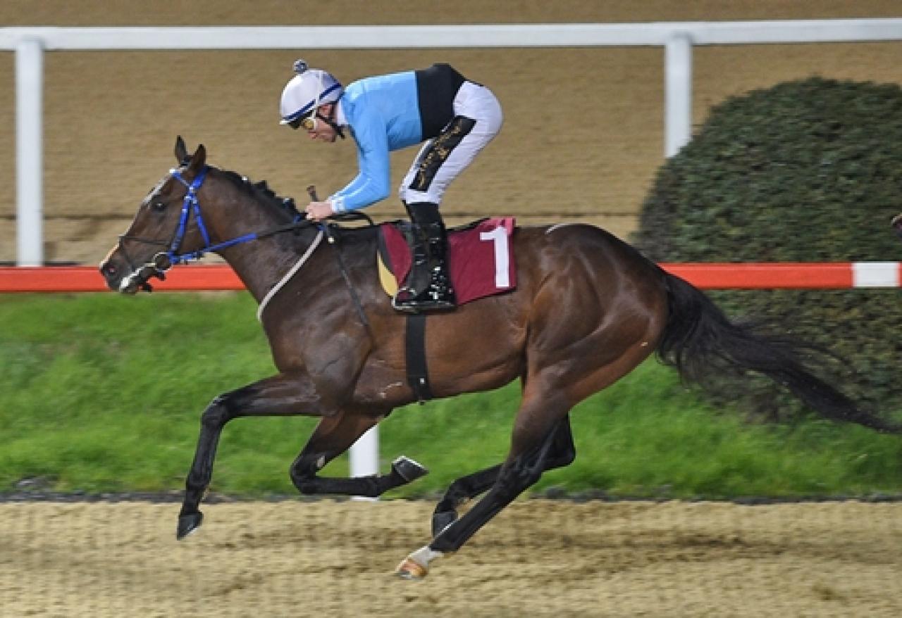 Sedat Özcan Koşusu'nda kazanan Ballad King oldu