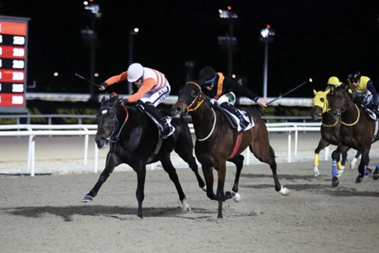 Uluslararası Düden Şelalesi Koşusu'nu Captain Fantastic kazandı