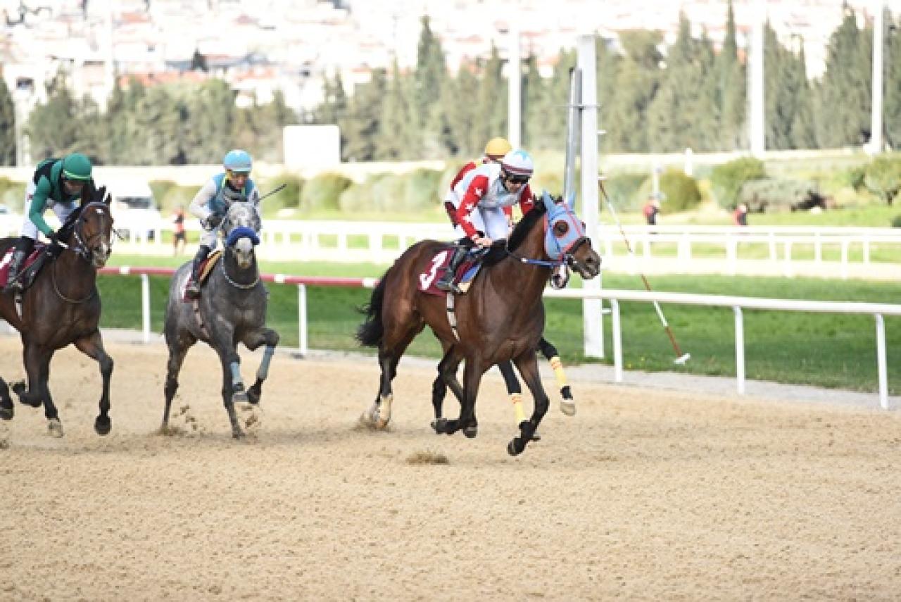 Francesco Sponza Koşusu'nda kazanan Brave Champion oldu