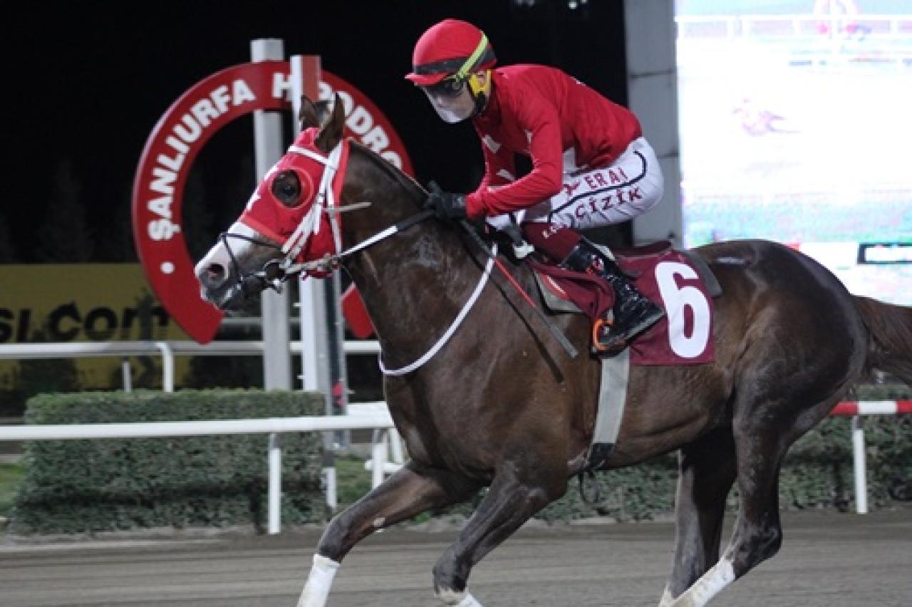 Müslüm Tumbul Koşusu'nda kazanan Hedbe oldu