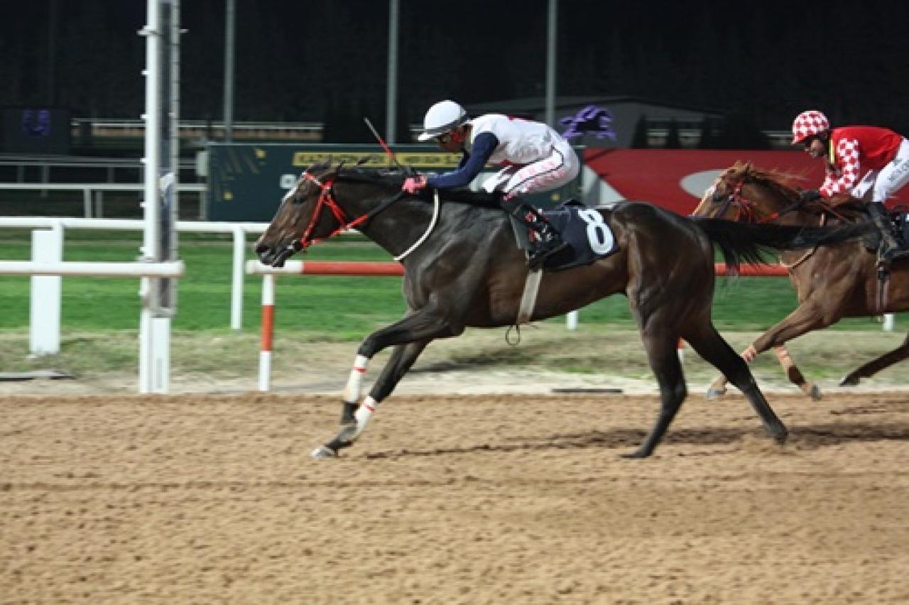 Halis Kökbudak Koşusu'nda kazanan Mavi Topaz oldu