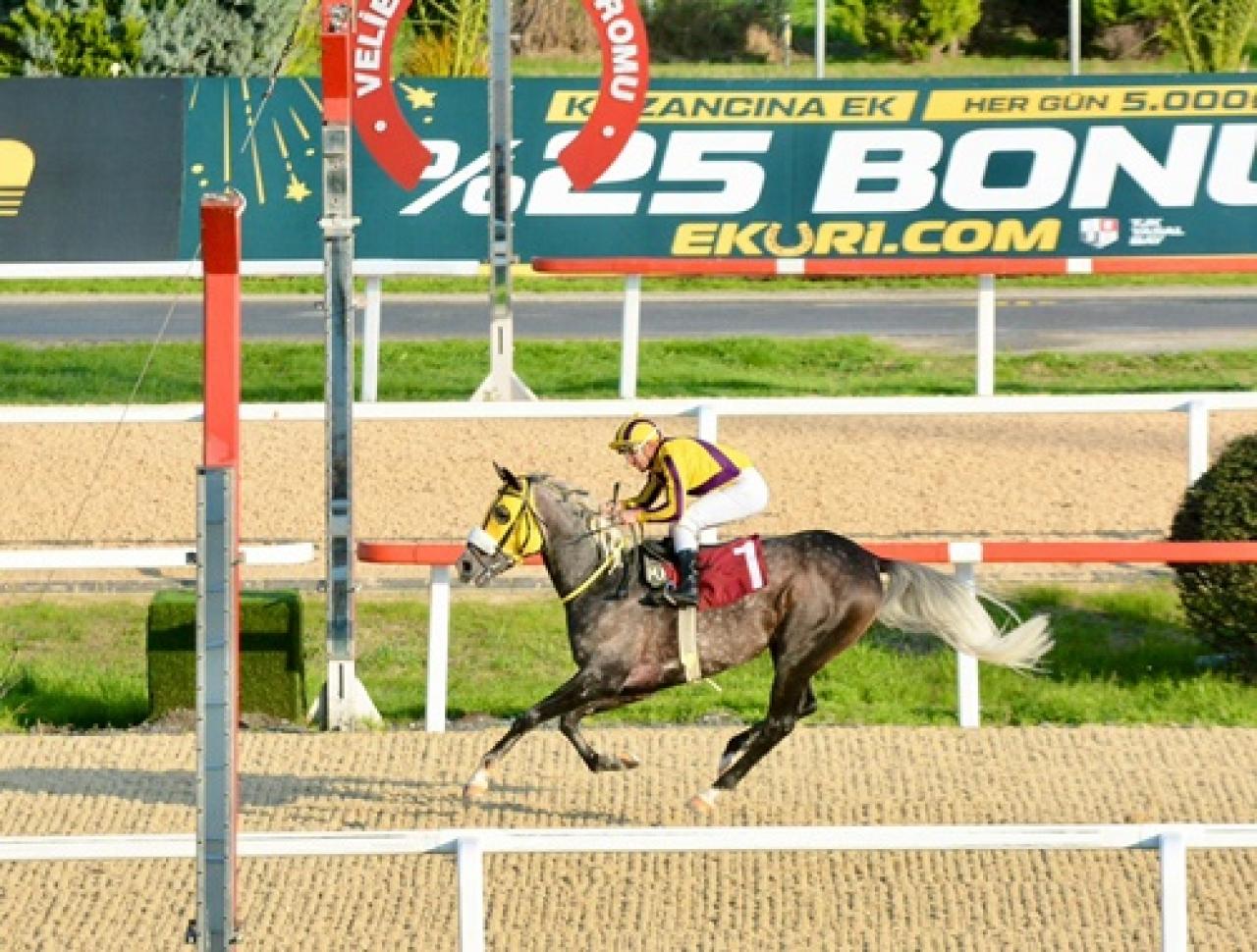 Münir Köseoğlu Koşusu'nu üst üste ikinci kez Ak Filozof kazandı
