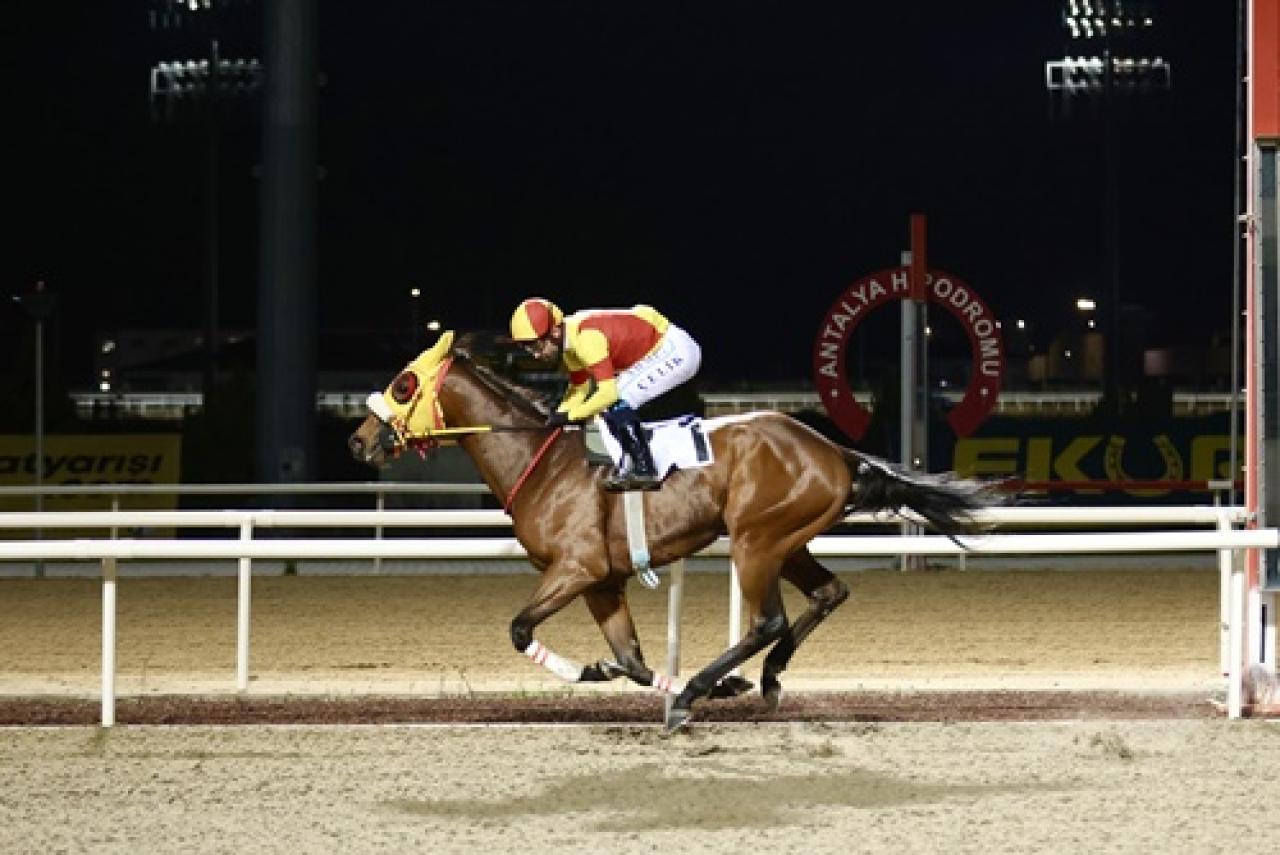 Uluslararası Finike Koşusu'nda kazanan Bay Nalçakan oldu