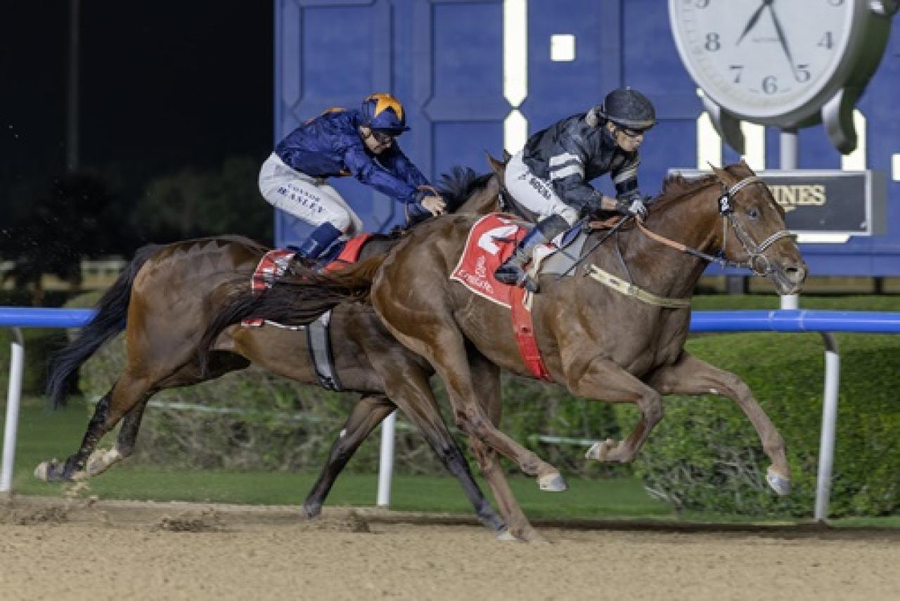 Profitable temsilcisi El Nasseeb'den G3 Mahab Al Shimaal galibiyeti