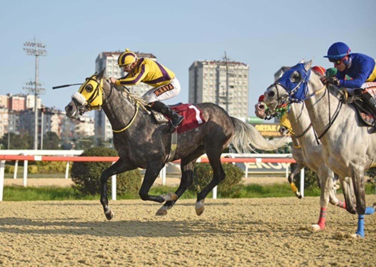 Kenan Atan Koşusu'nda kazanan Ak Filozof oldu