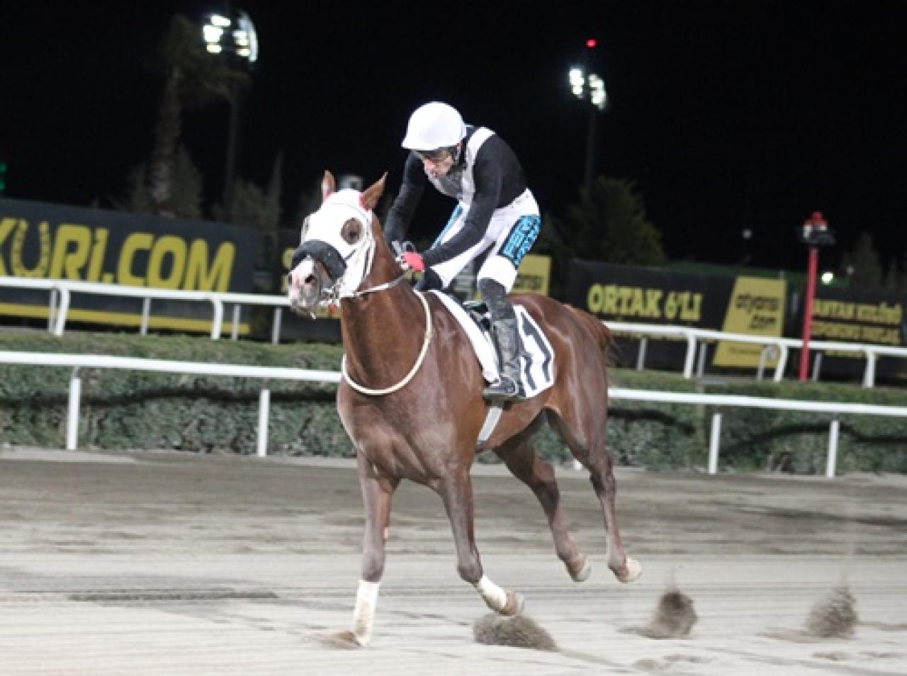 Şanlıurfa Vali Koşusu’nda zafere uzanan Kent Rüzgarı oldu