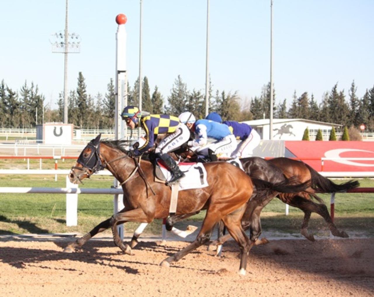 Uluslararası Karacaoğlan Koşusu'nu Bayır Efe kazandı