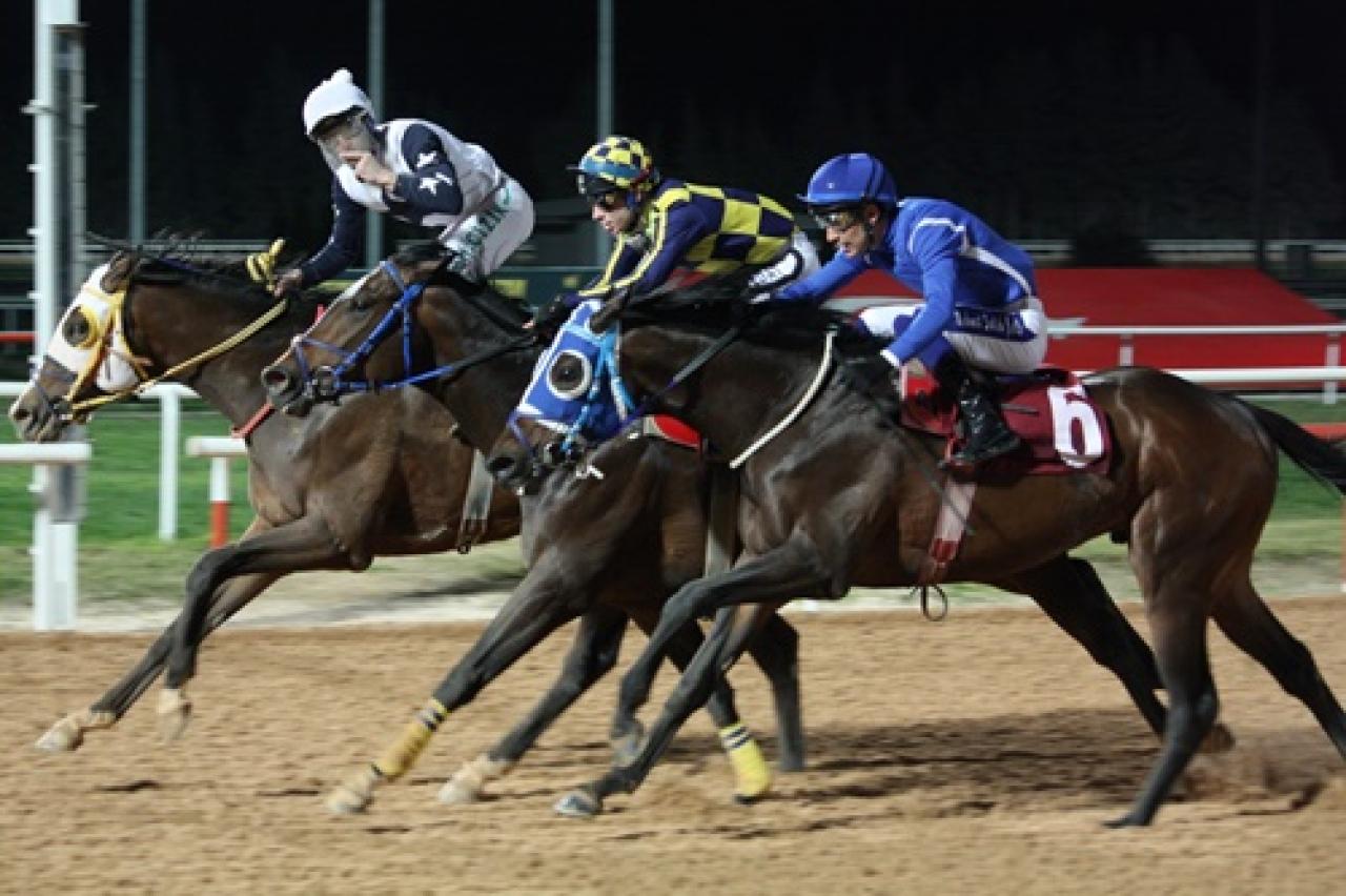 Kadına Şiddete Hayır Koşusu'nda kazanan Hood River oldu