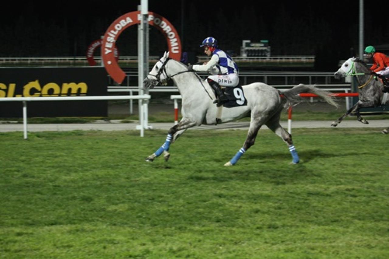 Çukurova Belediye Başkanlığı Koşusu'nu Aslan Yağız kazandı